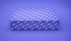 Scatola Rettangolare in cartone mockup vista frontale